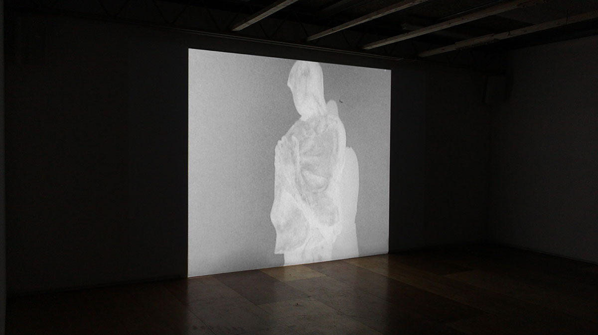install shot a web